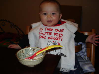 Having some tofu dinner